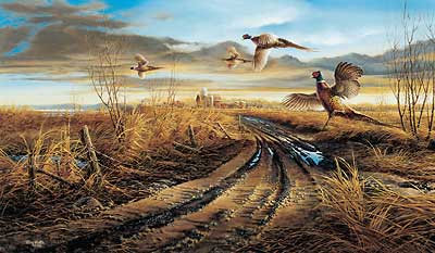 Country Road Pheasant